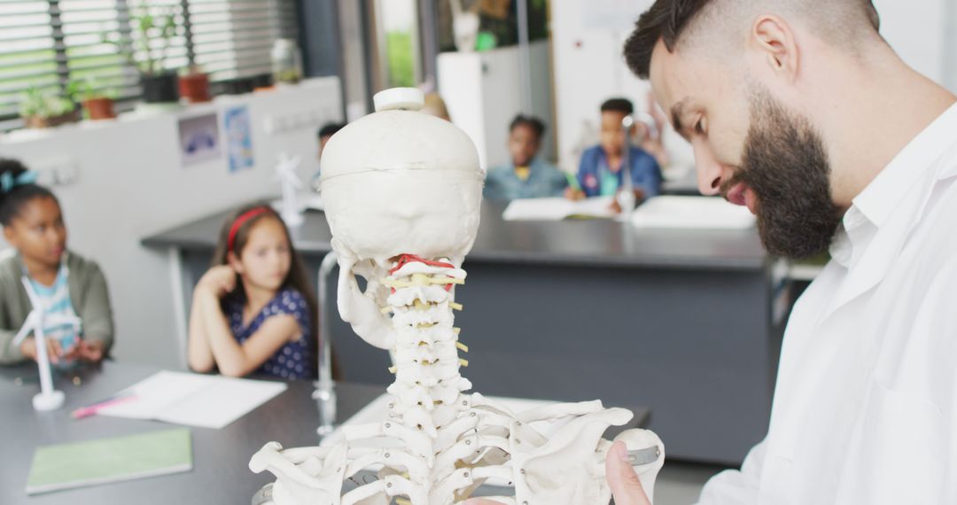 Teacher Demonstrating Human Skeleton in Classroom - Free Images, Stock Photos and Pictures on Pikwizard.com