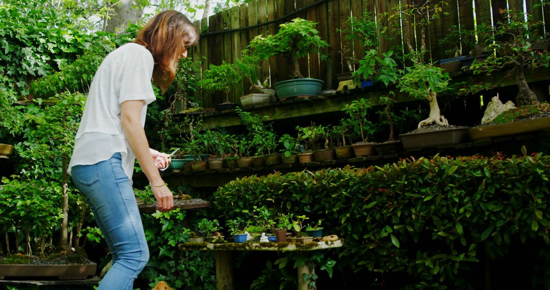 Woman Tending Botanical Garden With Collection of Bonsai Trees - Free Images, Stock Photos and Pictures on Pikwizard.com