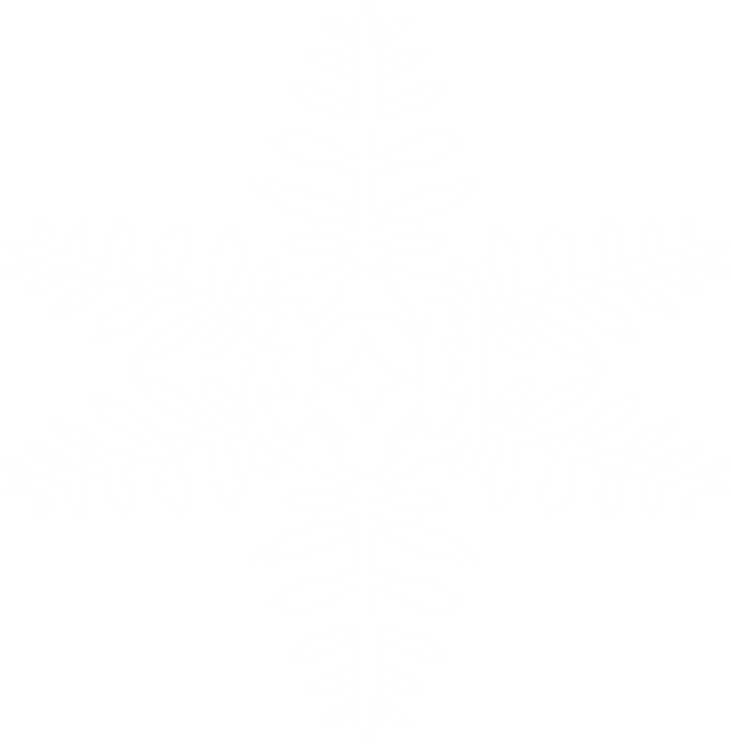 Intricate Transparent Snowflake Icon with Detailed Patterns - Download Free Stock Images Pikwizard.com