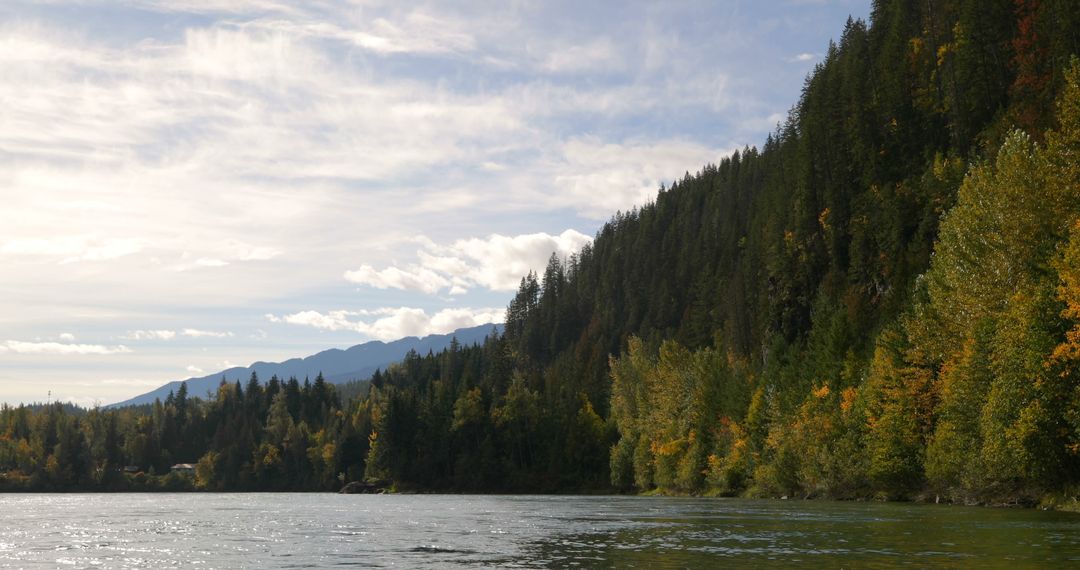 Peaceful River Flowing Next to Pine-Forest Covered Hills - Free Images, Stock Photos and Pictures on Pikwizard.com