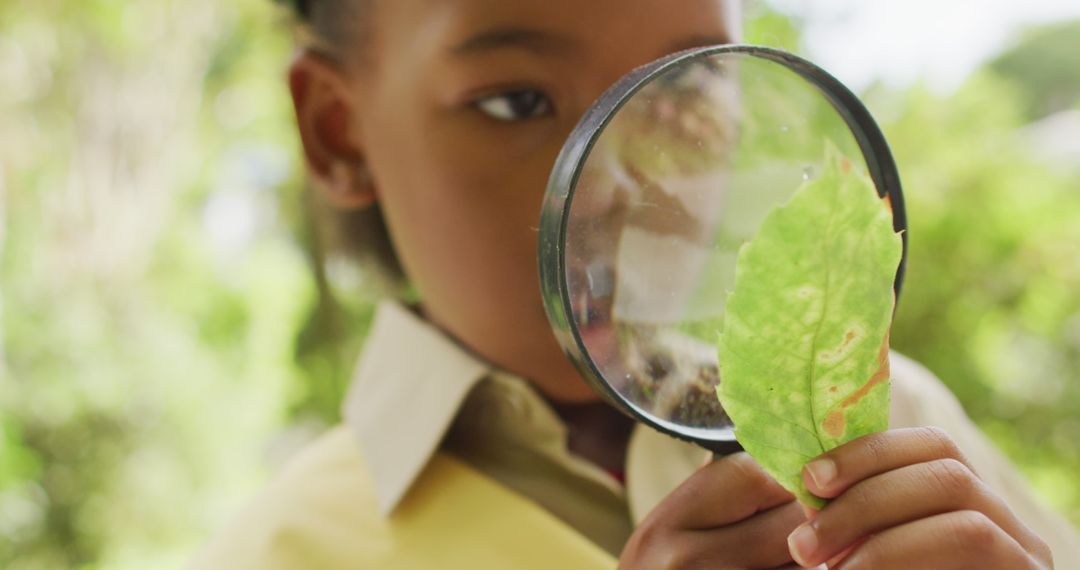 Child Using Magnifying Glass to Examine Leaf - Free Images, Stock Photos and Pictures on Pikwizard.com