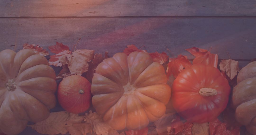 Rustic Ribbed Pumpkins and Mini Gourds on Weathered Wood with Fall Leaves
