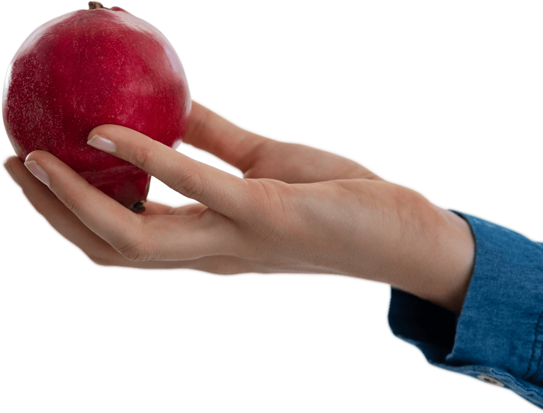 Transparent Hand Holding Ripe Red Pomegranate