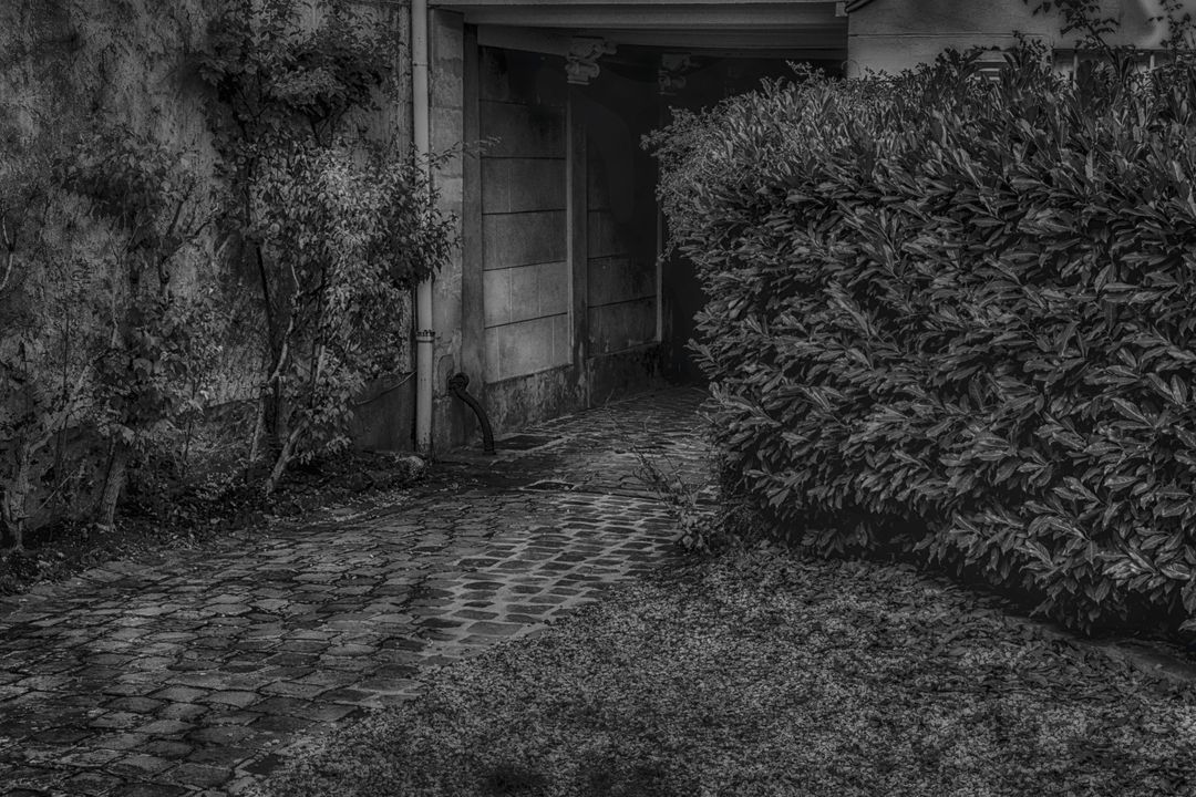 Eerie Dark Alleyway with Overgrown Hedges and Cobblestones - Free Images, Stock Photos and Pictures on Pikwizard.com