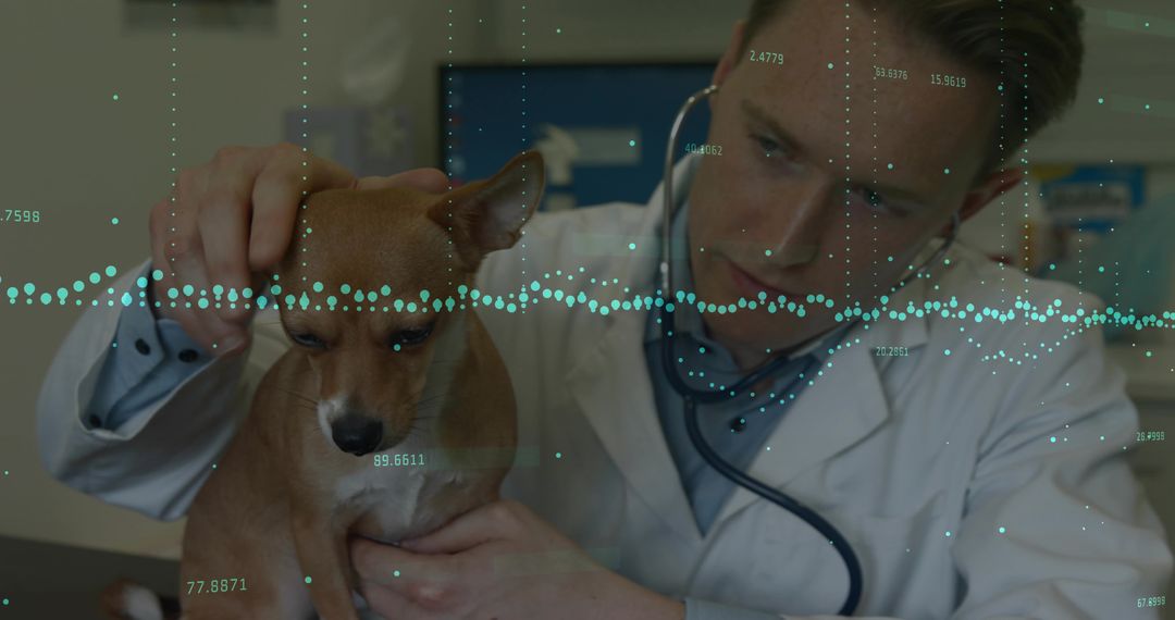 Veterinarian Using Stethoscope on Small Dog with Digital Interface Overlay