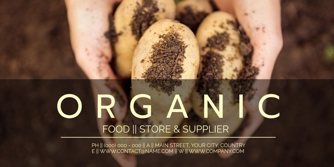 Hands Cradling Organic Potatoes for Sustainable Farming