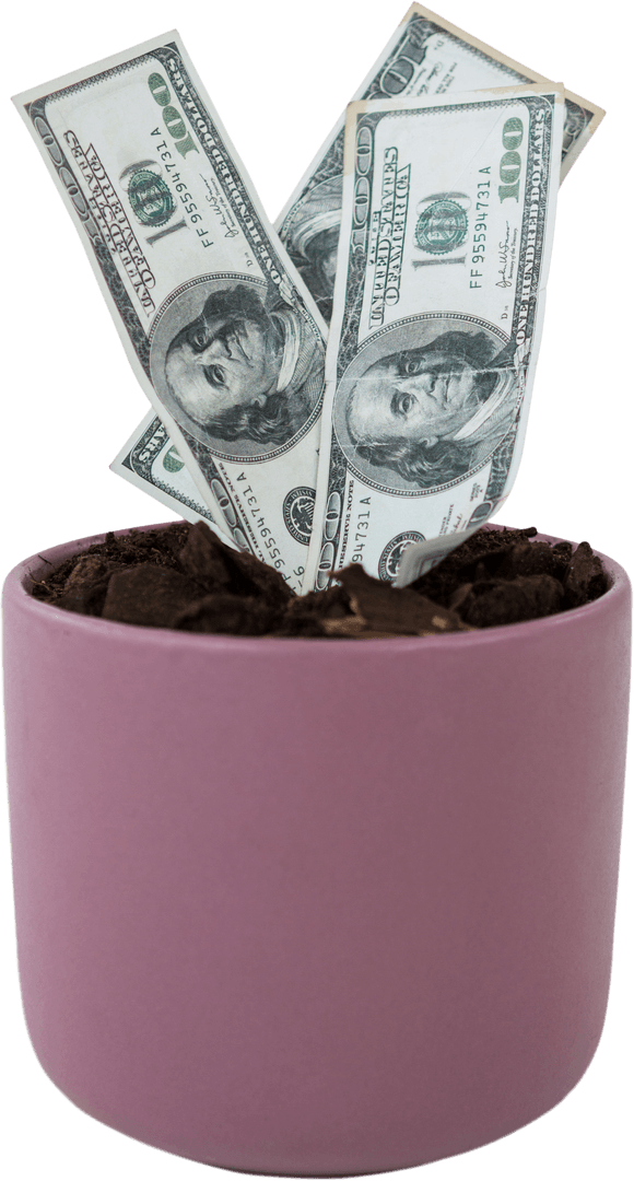 Flowerpot with Growing Dollar Bills on Transparent Background