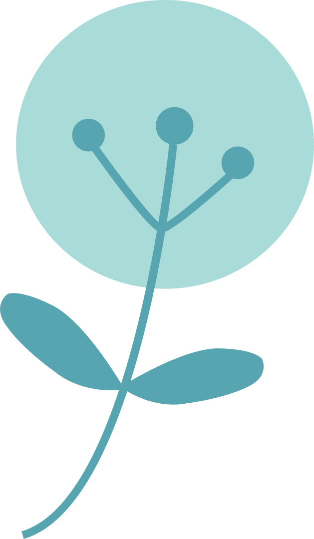 Transparent Minimalist Botanical Illustration with Bloom and Buds