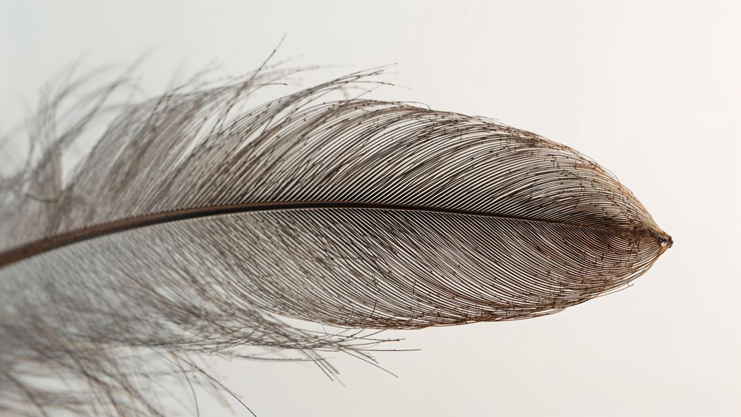 Close-Up of Delicate Brown Feather on Neutral Background