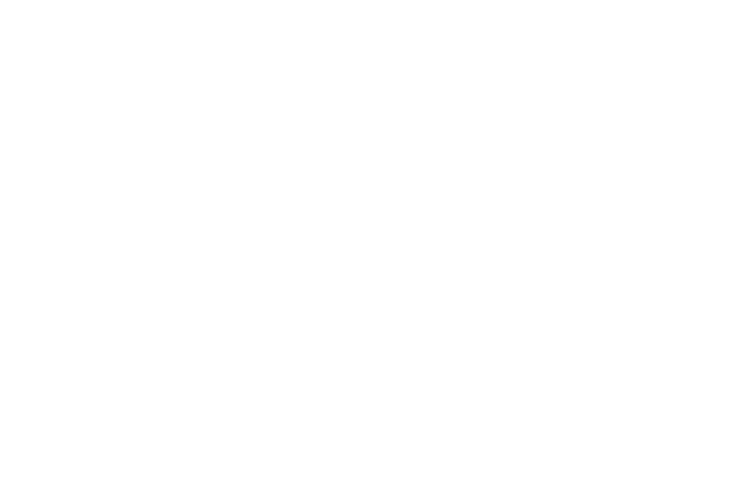 Transparent Digital Chart and Diagram Illustration