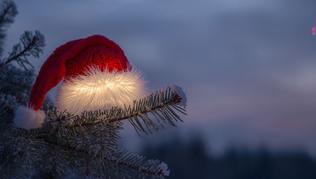 Glowing Santa hat draping over frosted pine branch at twilight with warm fairy lights