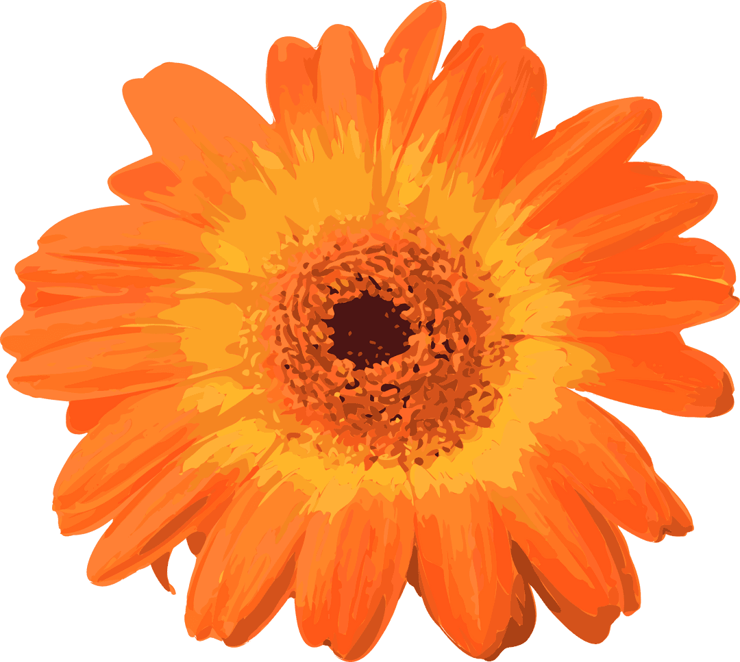 Transparent Gerbera Daisy with Vibrant Orange and Yellow Petals Vector Art