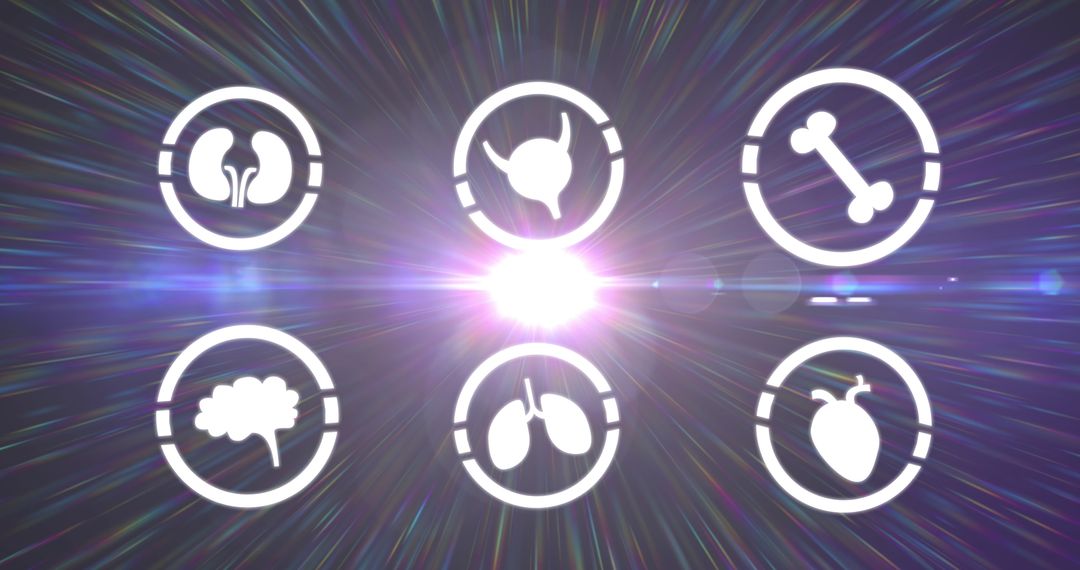 Digital Overview of Human Body Systems with White Icons