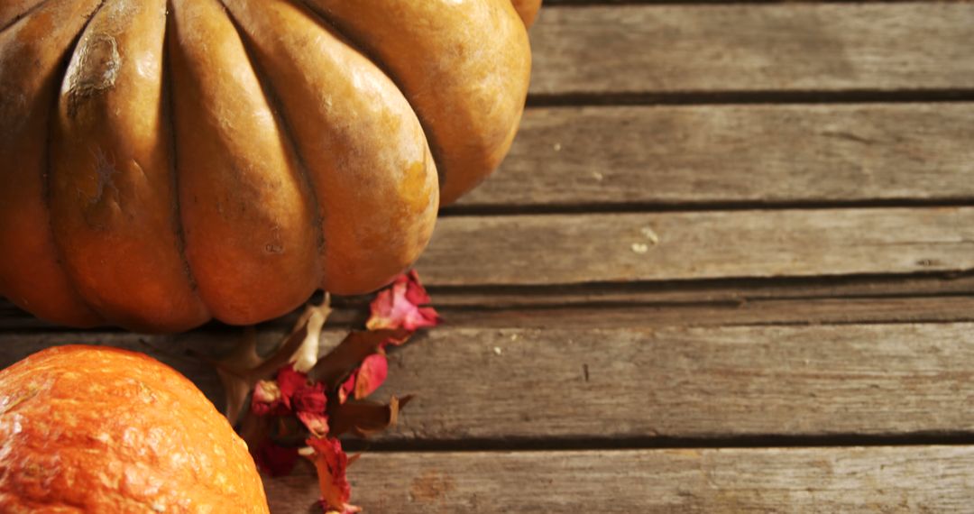 Rustic Autumnal Pumpkins on Wooden Background - Free Images, Stock Photos and Pictures on Pikwizard.com