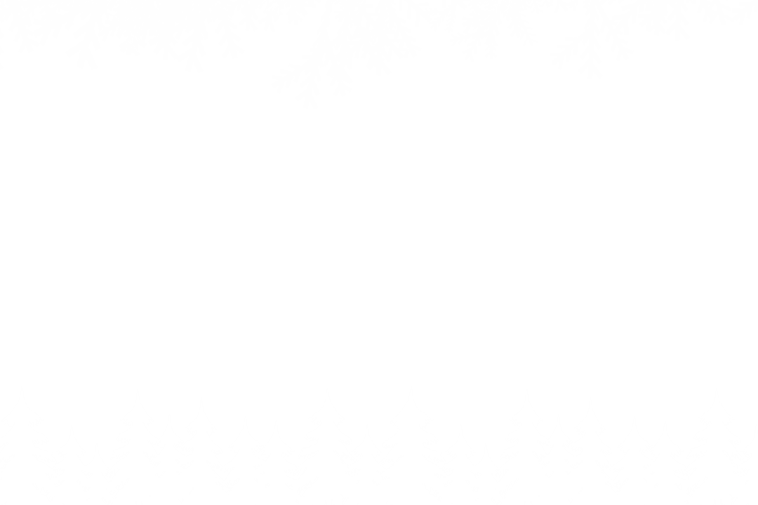 Fir Tree Branches on Transparent Snowy Background