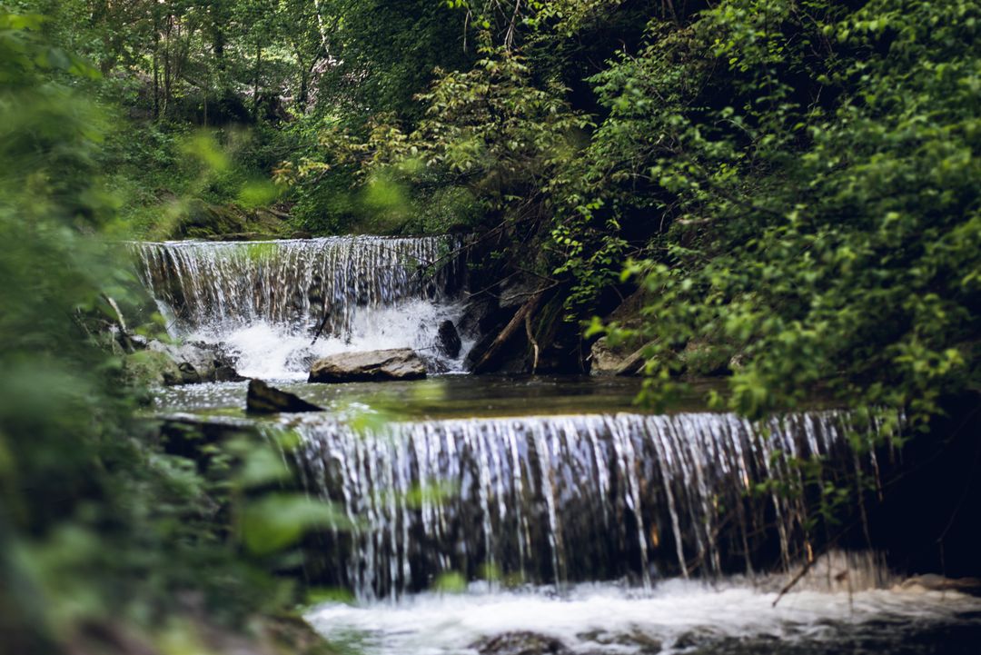 Tranquil Forest Waterfall Surrounded By Lush Greenery