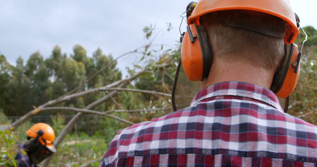 Tree Removal Workers Wearing Protective Gear in Forest Area - Free Images, Stock Photos and Pictures on Pikwizard.com