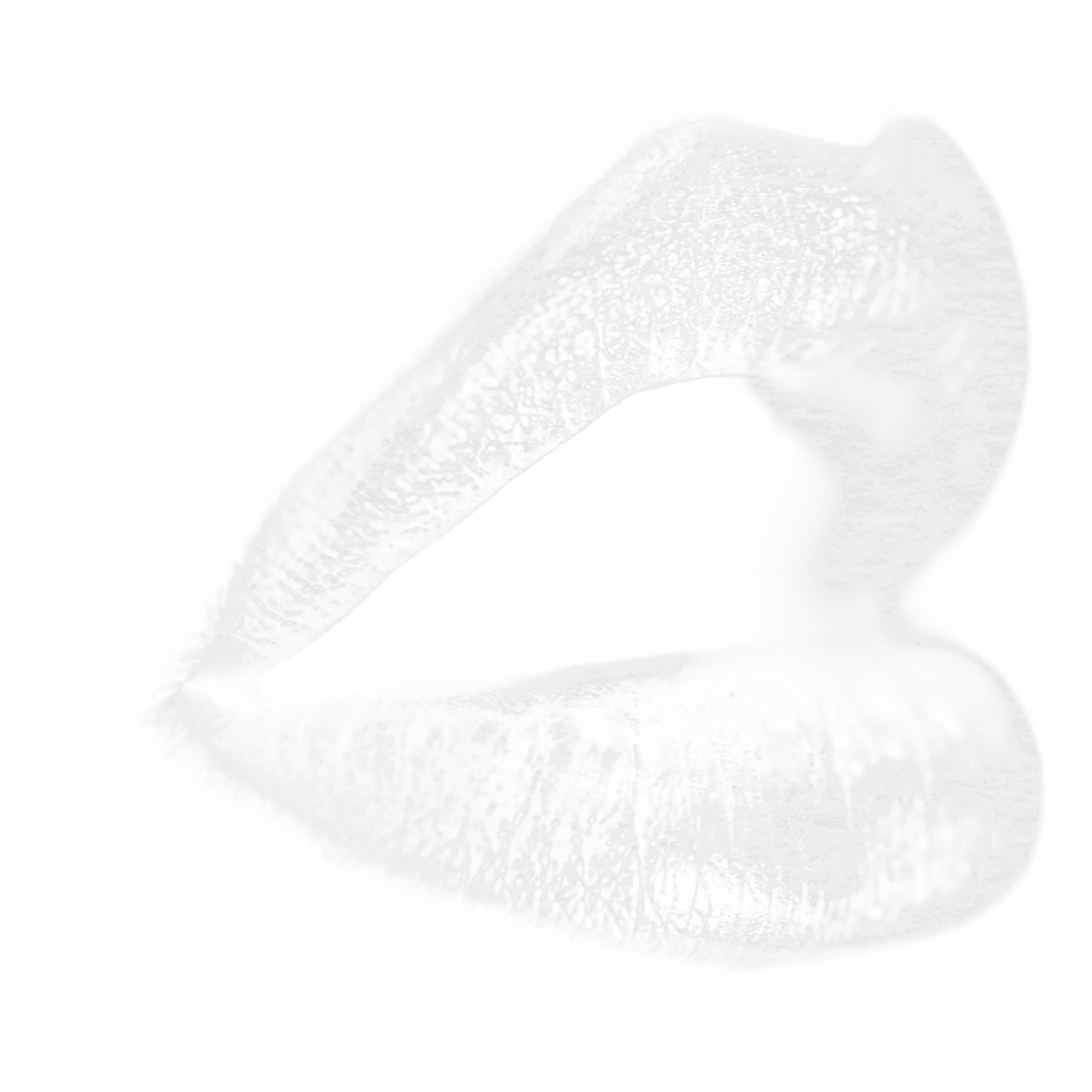 White Abstract Shapes on Transparent Background Vector Illustration