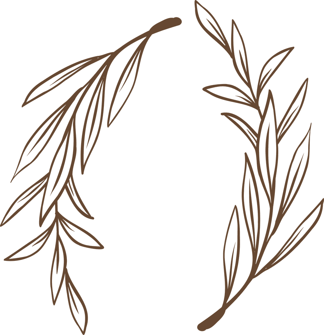 Minimalist Botanical Line Art with Transparent Background