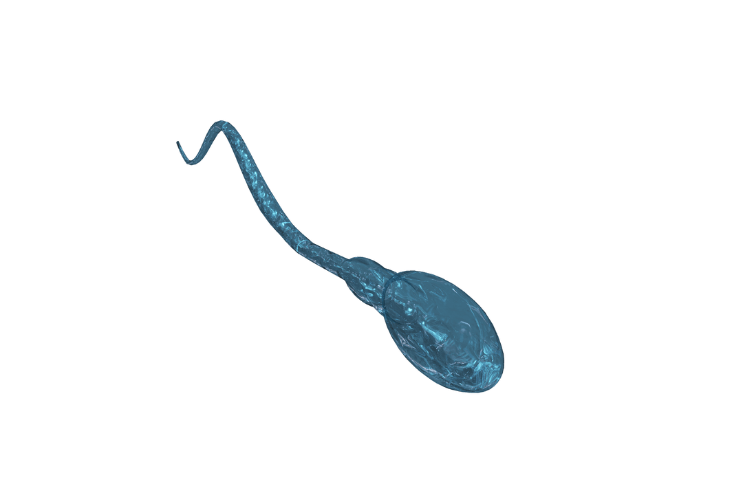 Transparent Blue Digital Sperm Cell Illustration on Isolated Surface
