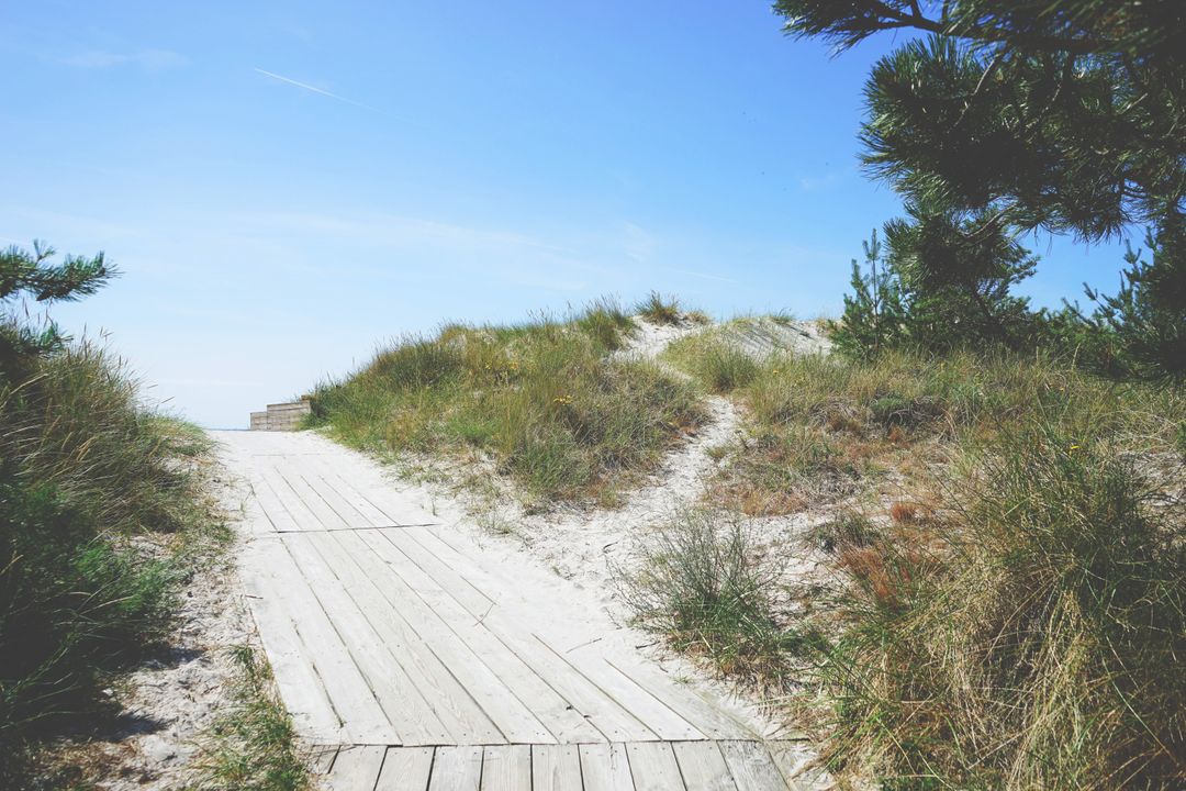 Wooden Pathway Through Sand Dunes Leading to Beach - Free Images, Stock Photos and Pictures on Pikwizard.com