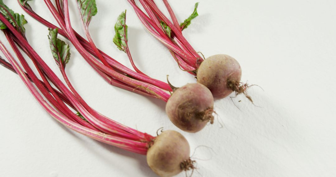 Fresh Organic Beets on White Background - Free Images, Stock Photos and Pictures on Pikwizard.com