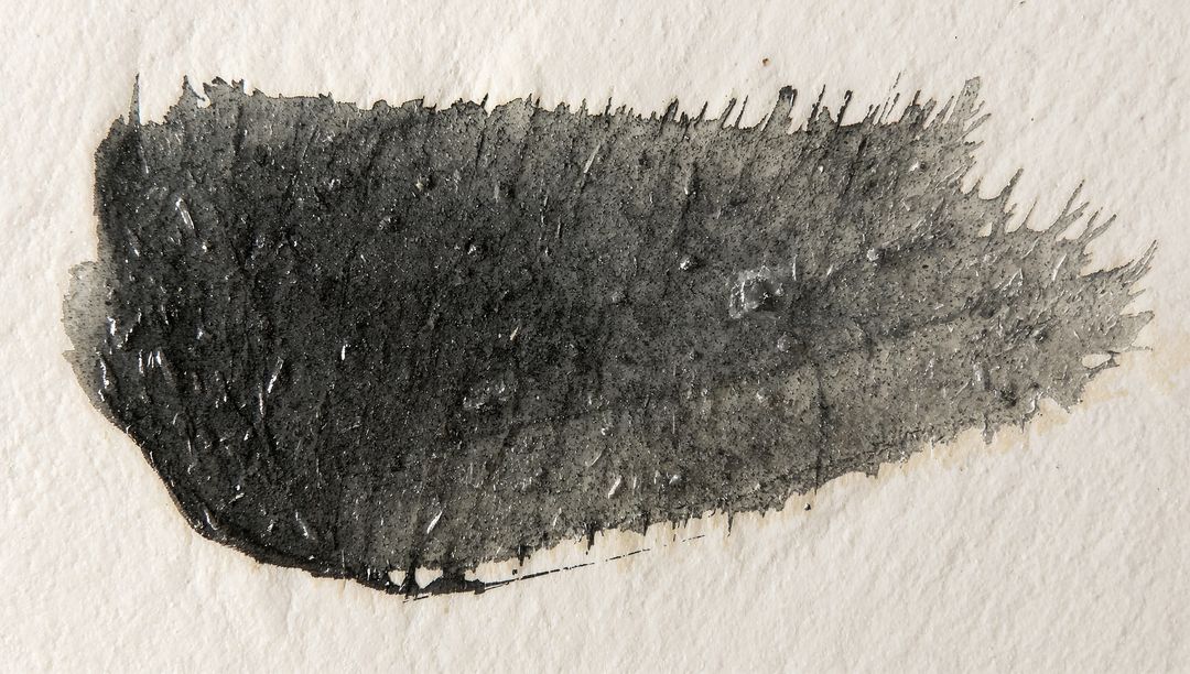 Tapering Black Ink Brushstroke on Cold-Press Paper with Granular Texture
