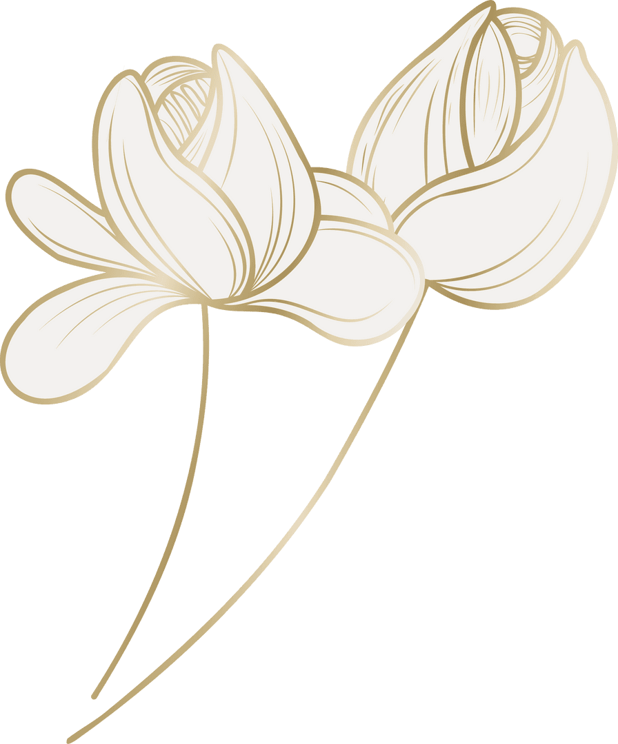 Elegant Transparent Gold Line Art of Blossoms