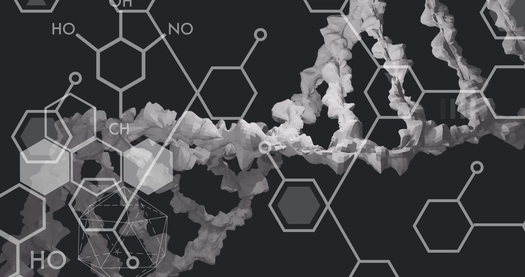 Digital Interface with DNA Strand and Molecular Structures