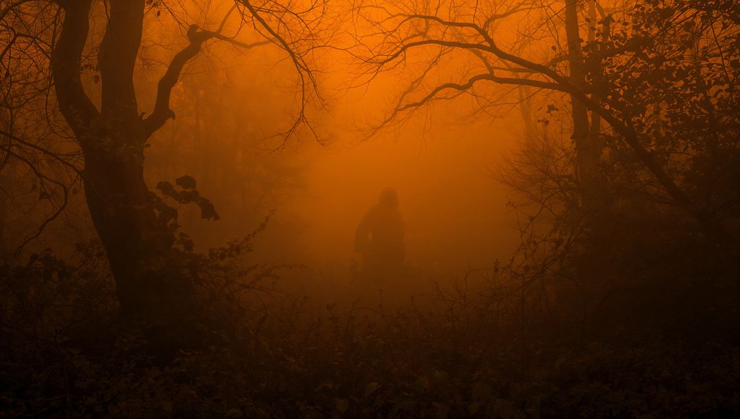 Cyclist Navigating Foggy Forest Path at Dusk in Mystical Atmosphere