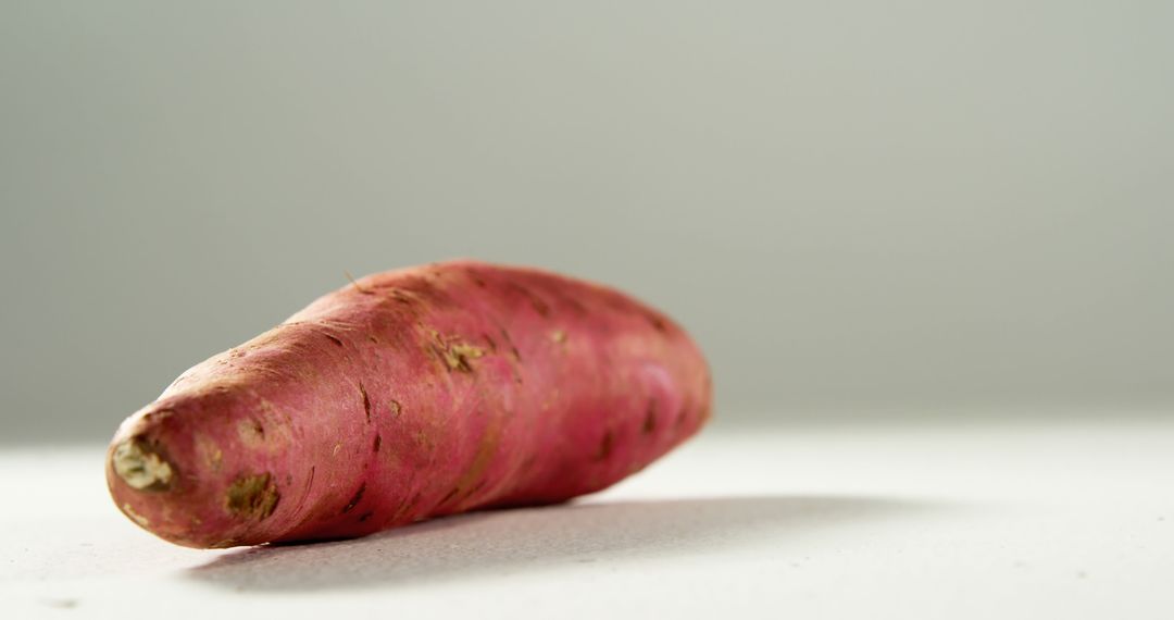 Single Fresh Sweet Potato on Light Background - Free Images, Stock Photos and Pictures on Pikwizard.com