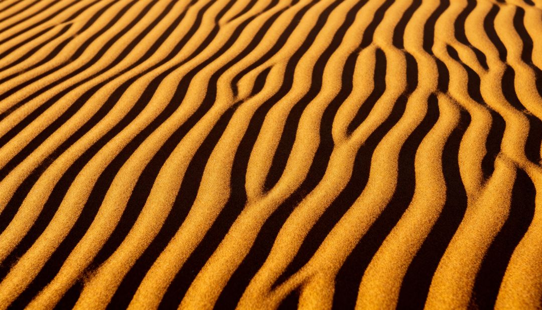 Golden Sand Ripples on Desert Dune at Golden Hour Highlighting Wind-Carved Texture