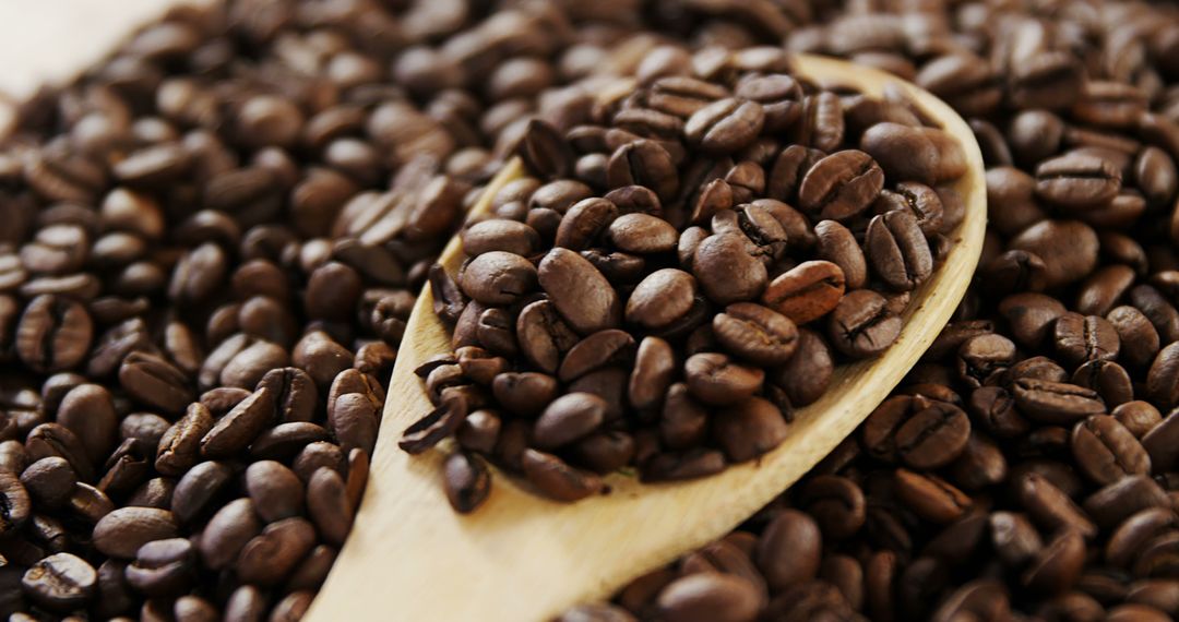 Close-Up of Roasted Coffee Beans on Wooden Spoon - Free Images, Stock Photos and Pictures on Pikwizard.com