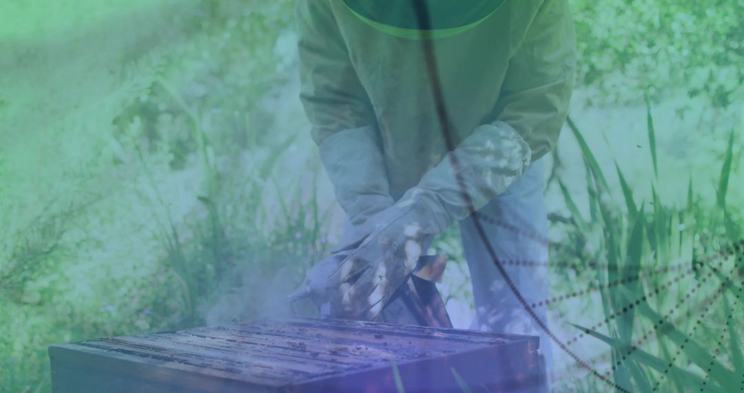 Beekeeper Inspecting Hive Frames with Smoker in Garden Apiary Surrounded by Greenery