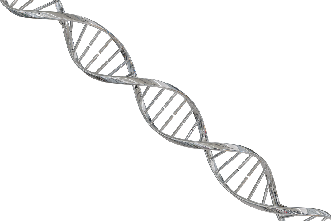 Transparent Shiny DNA Double Helix Structure - Download Free Stock Images Pikwizard.com