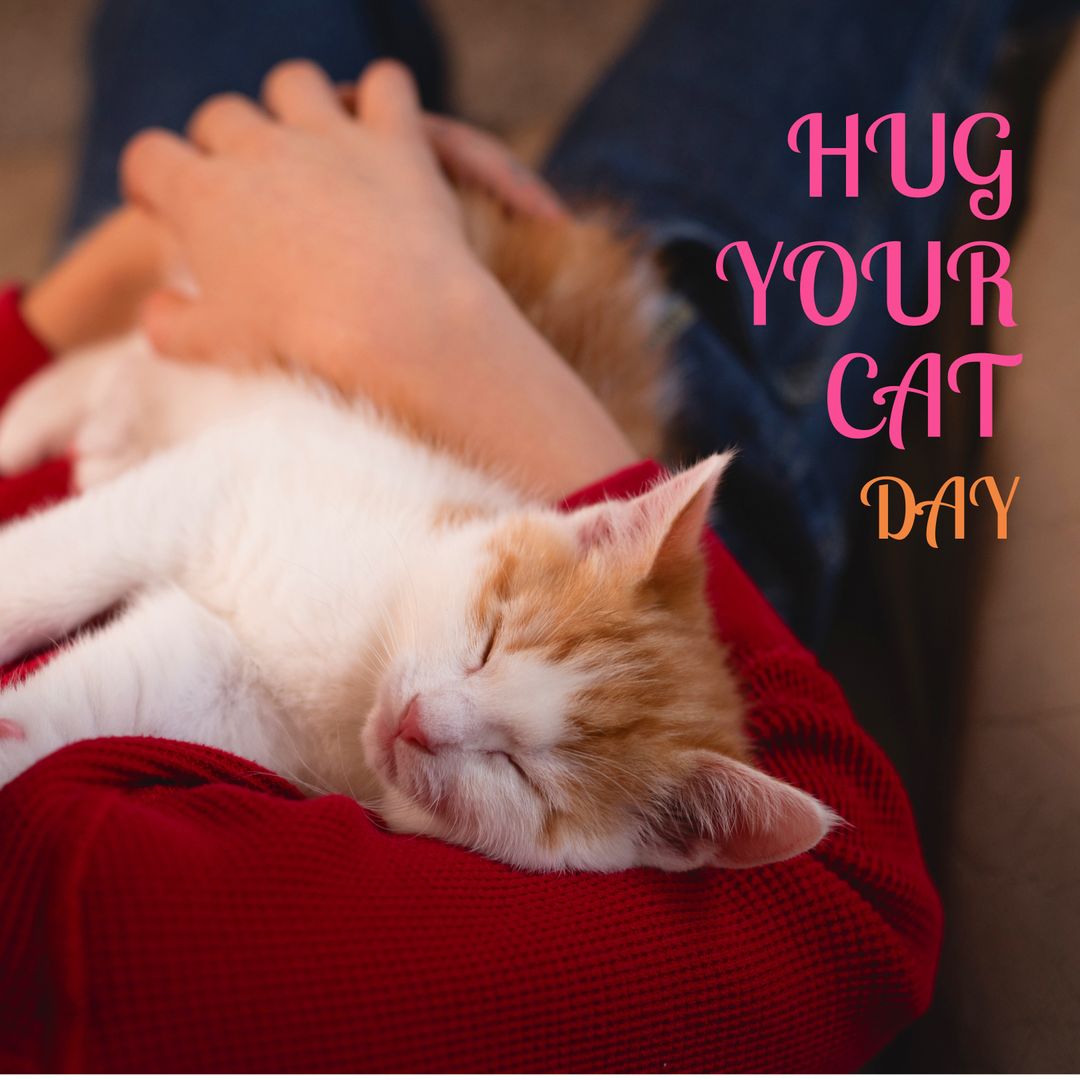 Celebrating Hug Your Cat Day with Peaceful Sleeping Kitty