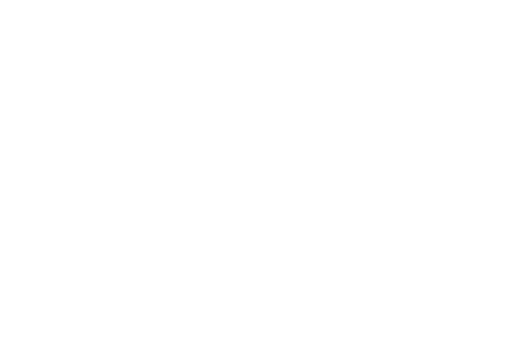 White Geometric Motif Pattern on Transparent Background