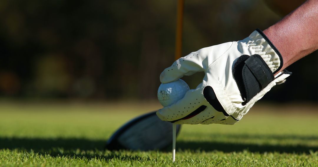 Close-up of Golfer Placing Ball on Tee in Preparing for Swing