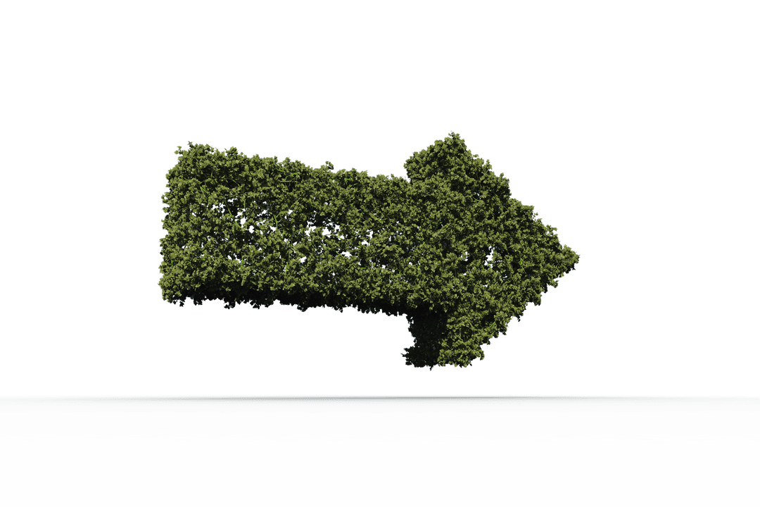 Leafy Right Arrow Transparent Background Eco Concept