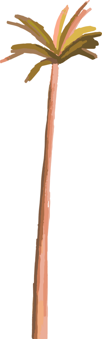 Minimalist Stylized Palm Tree on Transparent Background