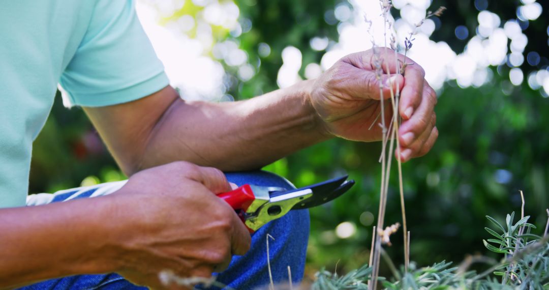 Close-Up of Male Gardener Pruning Plants with Shears - Free Images, Stock Photos and Pictures on Pikwizard.com