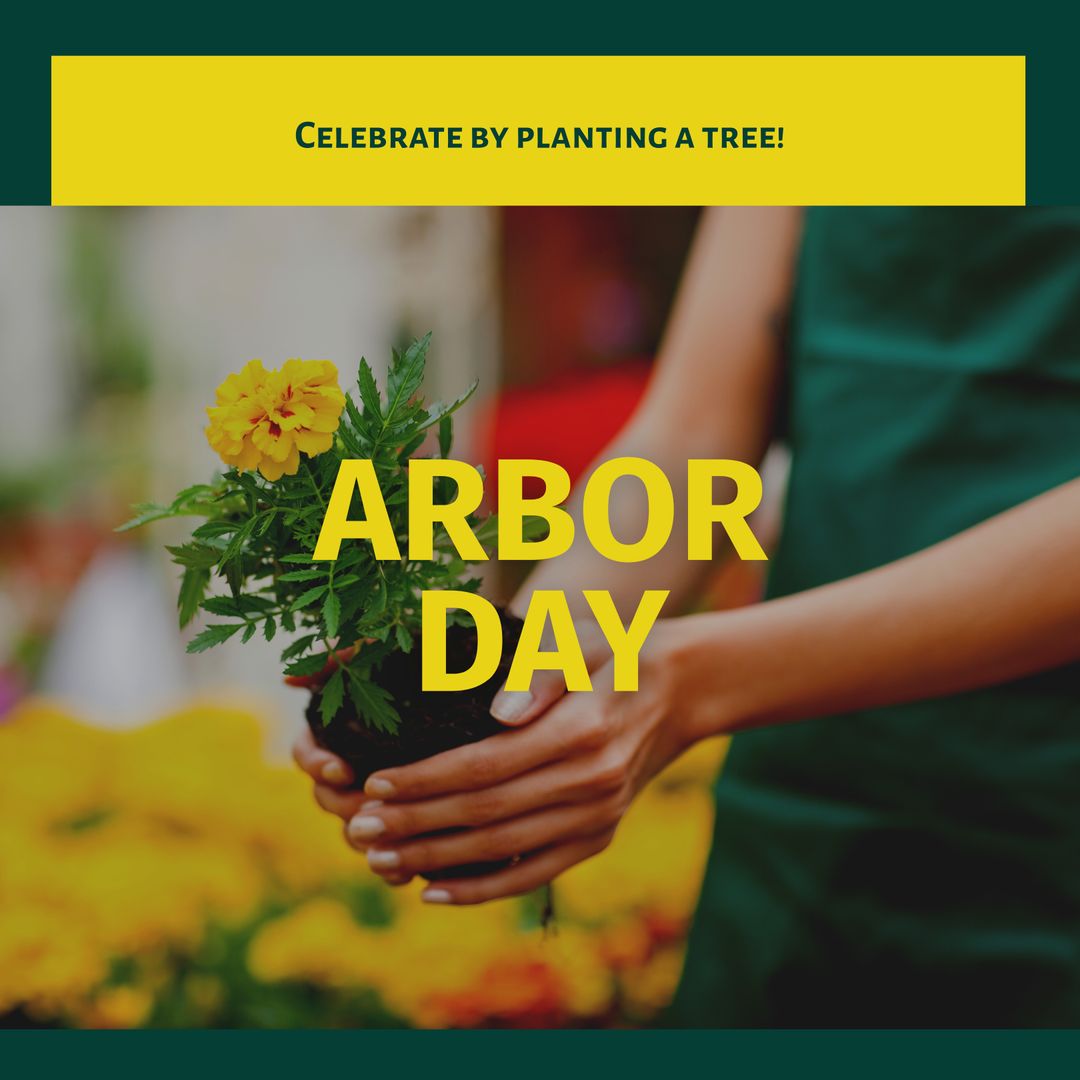 Biracial Woman Holding Potted Plant Celebrating Arbor Day - Download Free Stock Templates Pikwizard.com