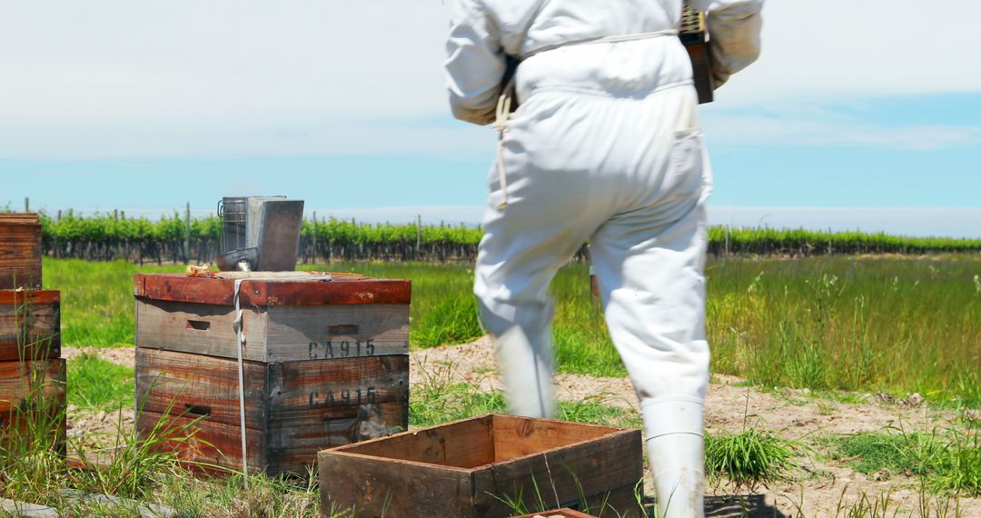 Beekeeper Tending Hive in Majestic Apiary on Sunny Day