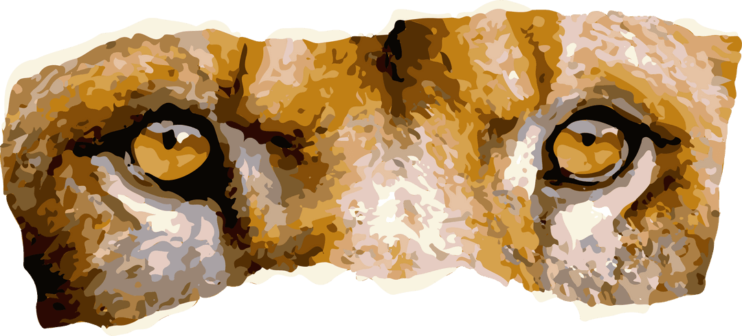 Abstract Feline Eyes Illustration on Transparent Background