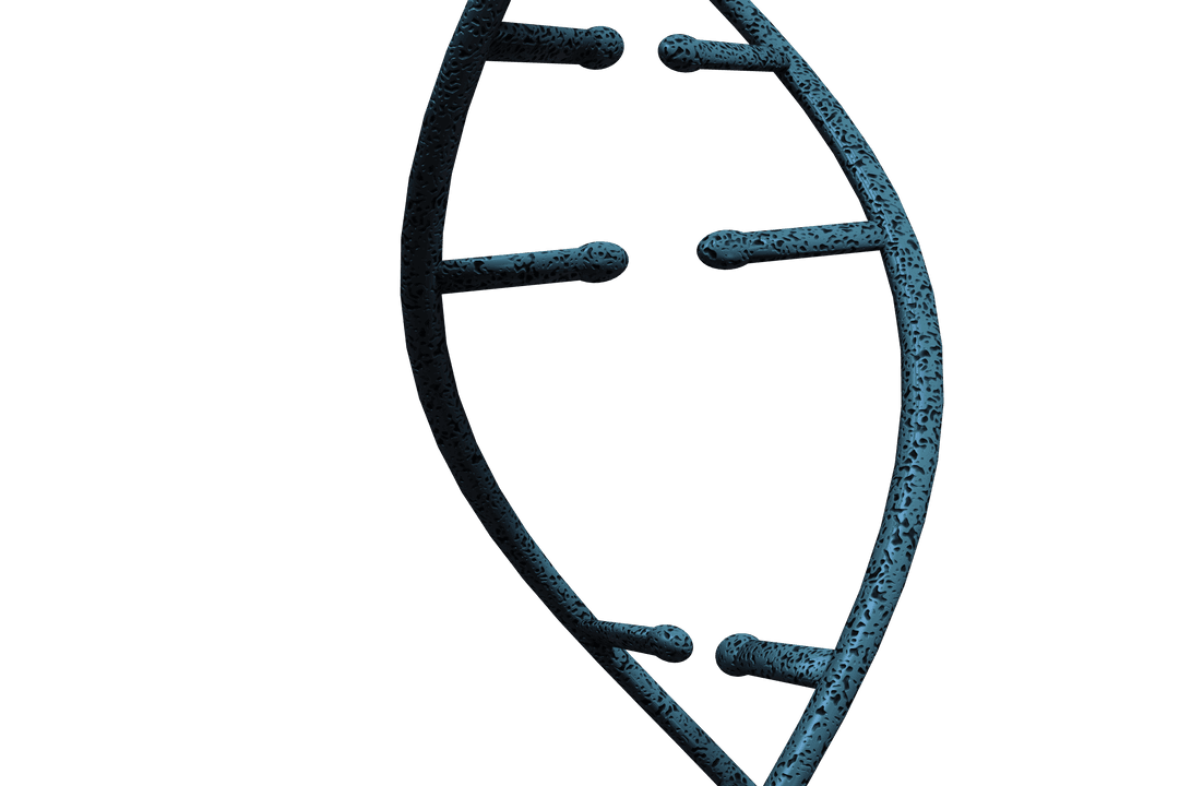 Transparent Vector Illustration of DNA Strand Fragment