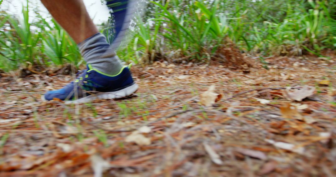 Close Up of Runner's Feet on Forest Trail - Free Images, Stock Photos and Pictures on Pikwizard.com