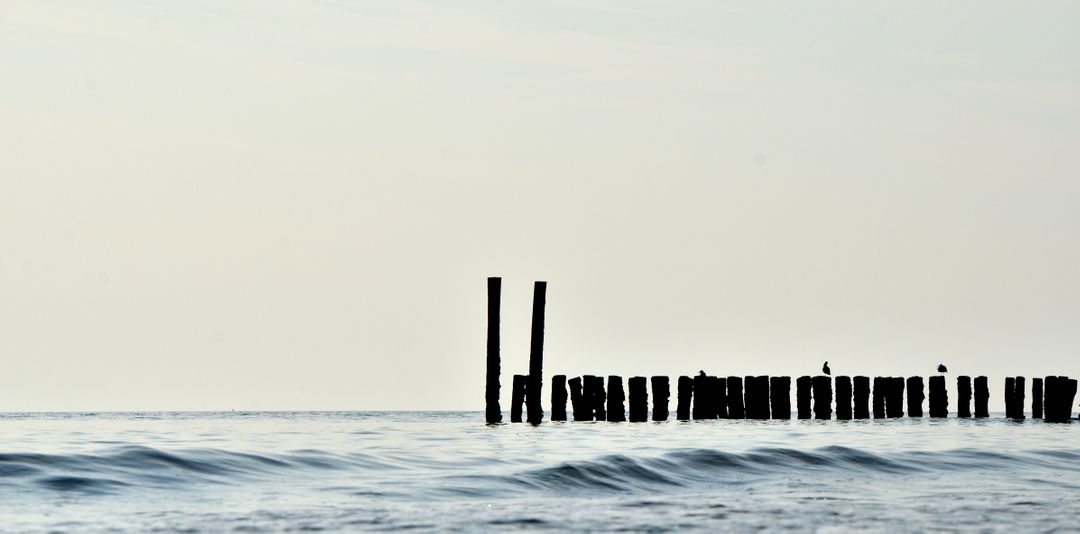 Calm Sea Waves Against Silhouette of Wooden Pillars at Dusk - Free Images, Stock Photos and Pictures on Pikwizard.com