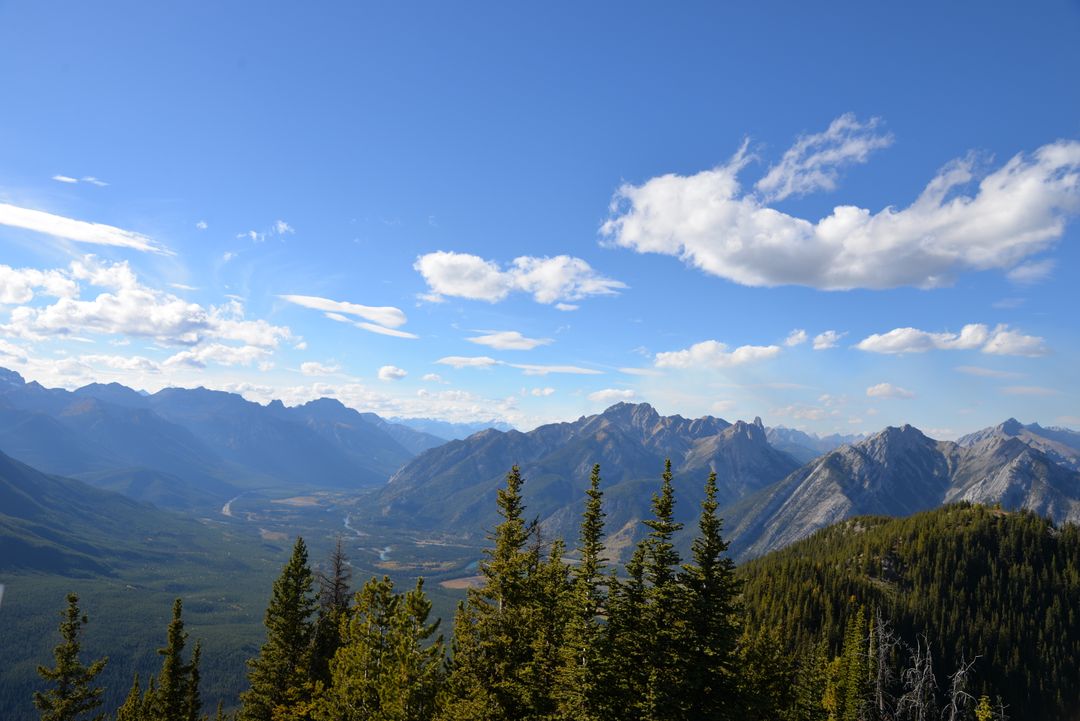 Mountain Range Panorama with Pine Forest and Blue Sky - Free Images, Stock Photos and Pictures on Pikwizard.com