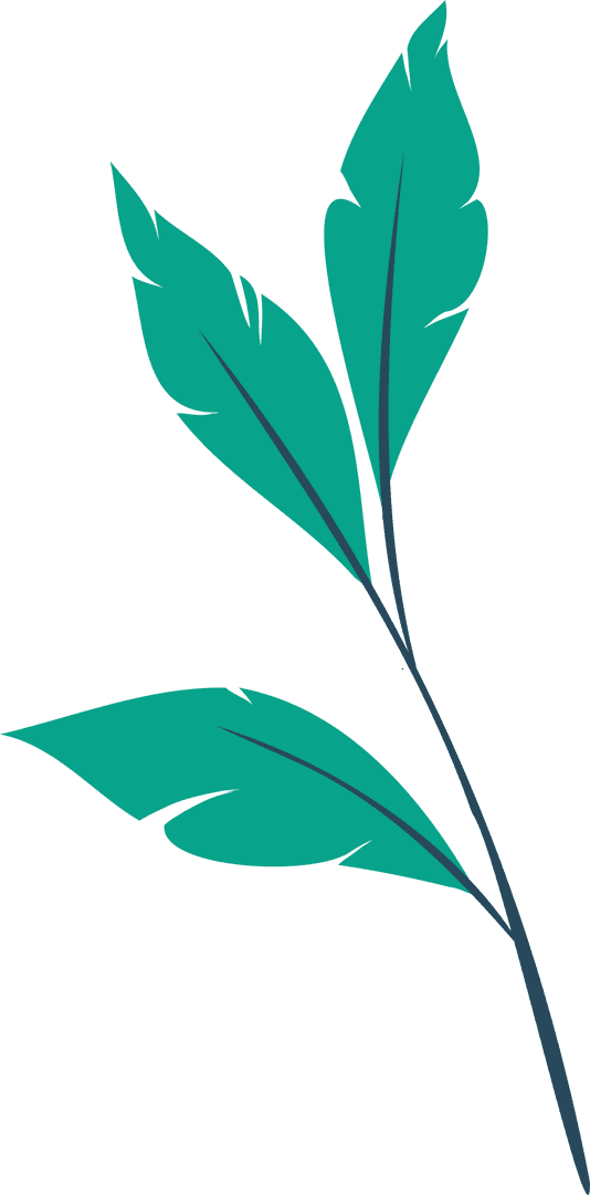 Transparent Minimalist Green Leafy Branch Vector