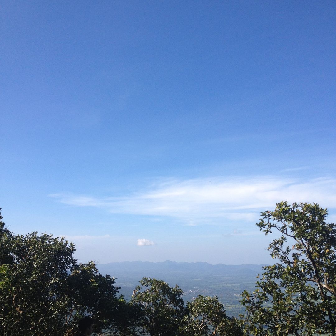 Clear Blue Sky over Mountainous Landscape and Green Trees - Free Images, Stock Photos and Pictures on Pikwizard.com